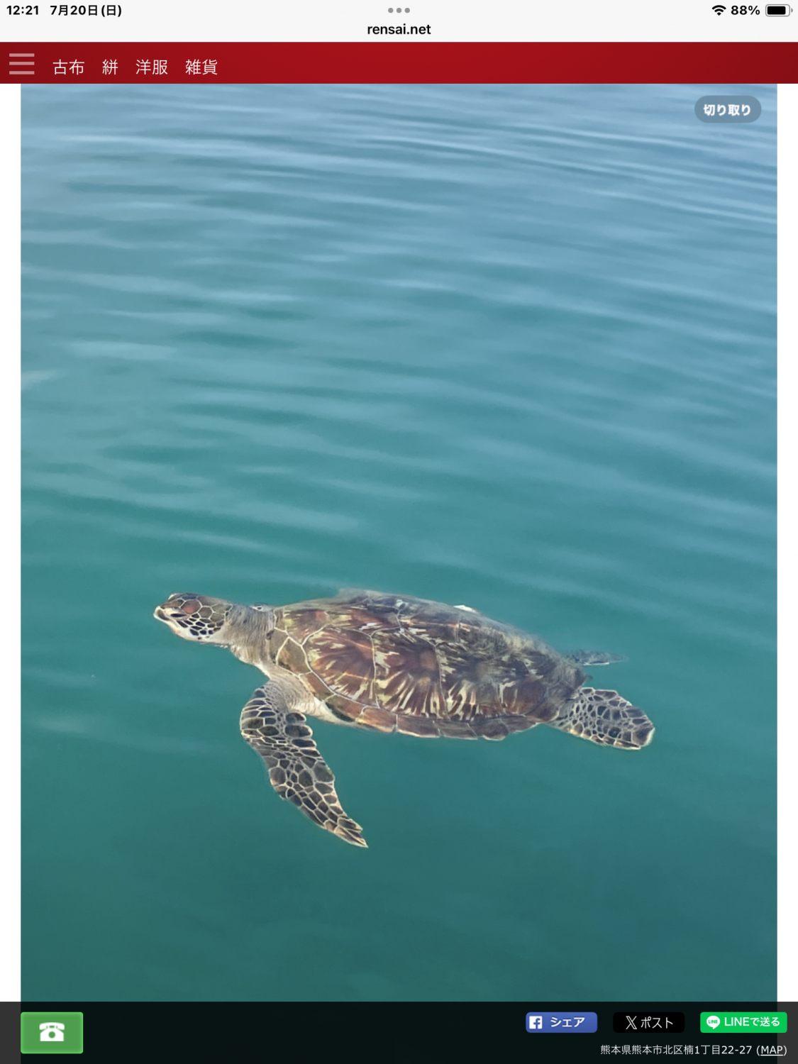 夏休み2025.8/3 (日)〜9/11(木)